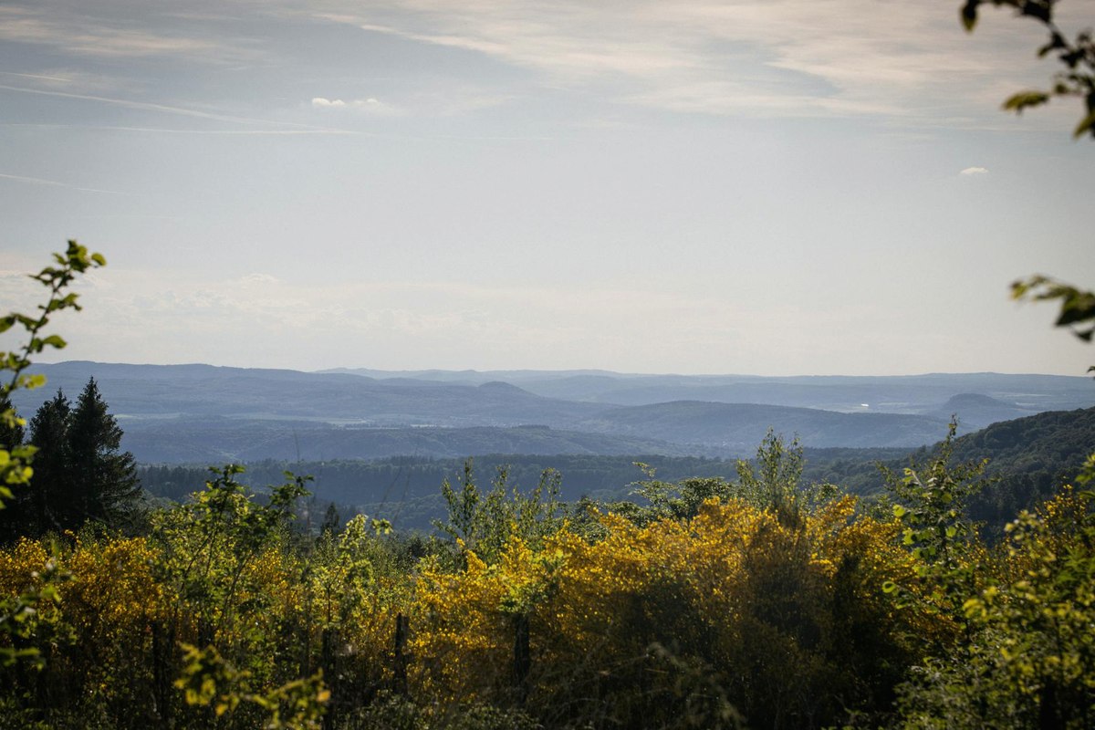 Reinigung Freyung – Bayerischer Wald